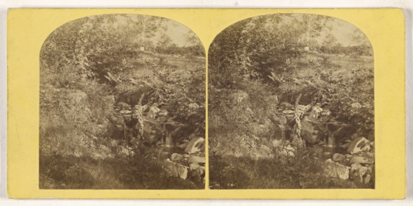 Near Wansfell Pike; British; about 1860; Albumen silver print