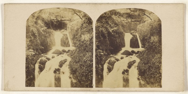 Combe Wood; British; about 1865; Albumen silver print