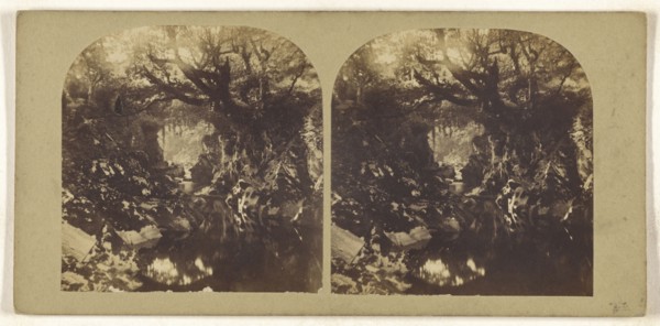 Bridge on the Machno, North Wales; British; about 1865; Albumen silver print