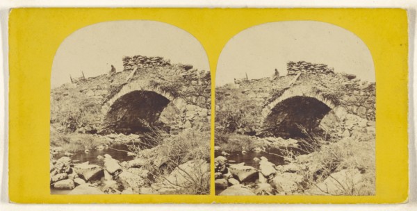Pont-y-Colwyn Beddgelert, N. Wales; British; about 1865; Albumen silver print