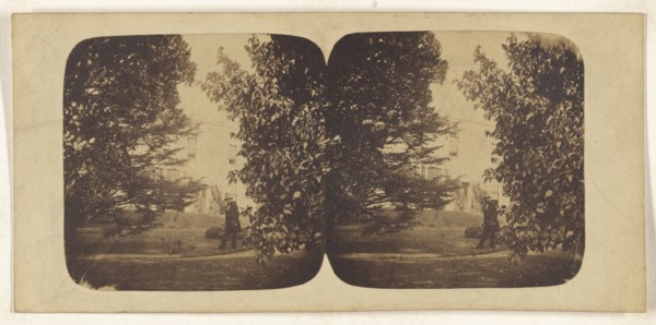 R. Charlestons; British; about 1860; Albumen silver print