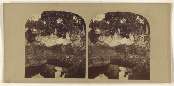 Woman seated on ground overlooking a brook, her reflection seen in the brook; British; about 1860; Albumen silver print
