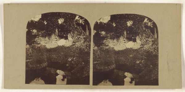 Woman seated on ground overlooking a brook, her reflection seen in the brook; British; about 1860; Albumen silver print