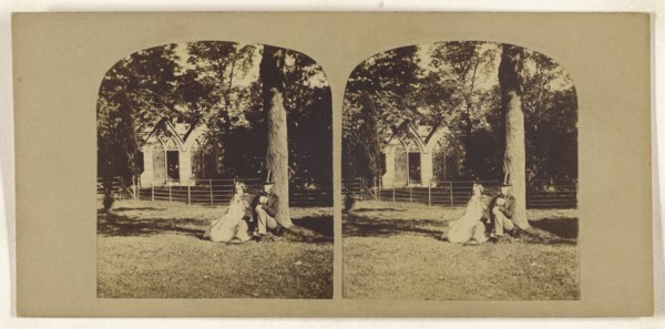 Man with top hat seated with a woman on lawn under a tree; British; about 1860; Albumen silver print