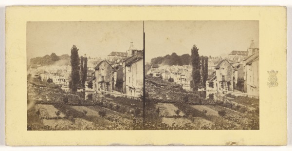 Vue de Salins, prise de la mantee de St. Andre, Jura, French; about 1865; Albumen silver print