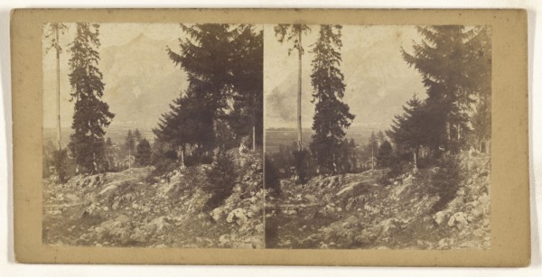 Vue prise a Seitorf pres Altorf. Canton d'Uri Suisse, Switzerland; about 1865; Albumen silver print