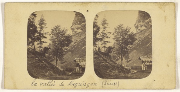 Paysage dans la Gorge obscure pres Meiringen, Suisse, Switzerland, about 1865; Albumen silver print