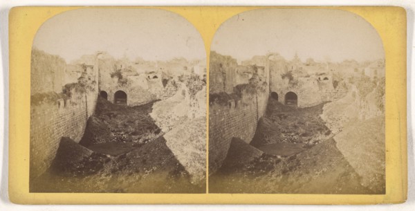 Piscine Probatique; about 1870; Albumen silver print