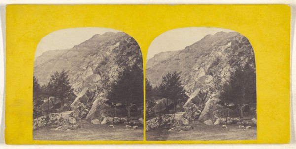 Rocks. North Malvern; British; about 1870; Albumen silver print