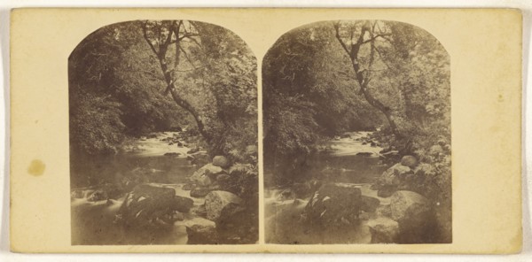 River Yealm Buck of, British; about 1870; Albumen silver print