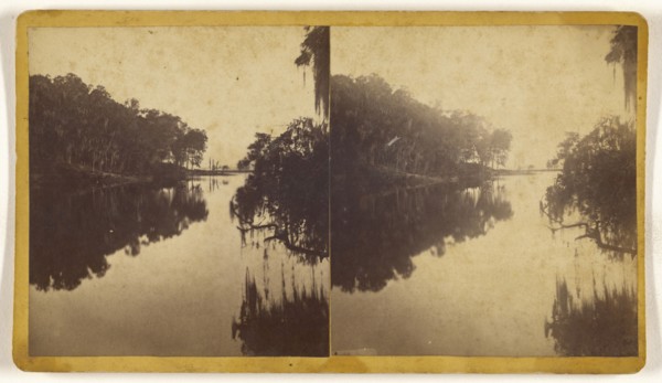View on St. John's River, Florida, ?, American; about 1870; Albumen silver print