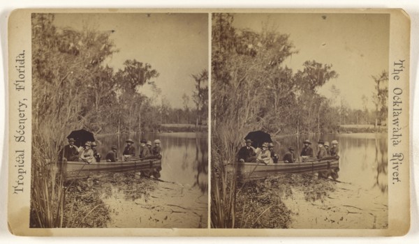 On Silver Springs River. Florida; American; about 1870; Albumen silver print