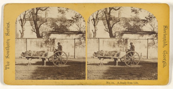 A Study from Life. Savannah, Georgia; American; about 1875; Albumen silver print