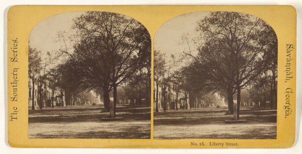 Liberty Street. Savannah, Georgia; American; about 1875; Albumen silver print