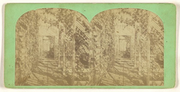 Grapery at Stockbridge, Mass; American; about 1865; Albumen silver print