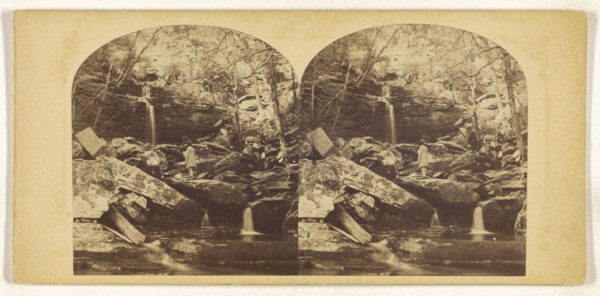 Mountain Gorge, On the Catskills; about 1860; Albumen silver print