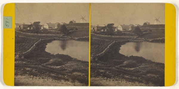 A view of the centre of Black Island, R.I; American; about 1870; Albumen silver print