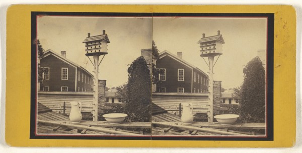 View in Whitewater, Wis; American; about 1870; Albumen silver print