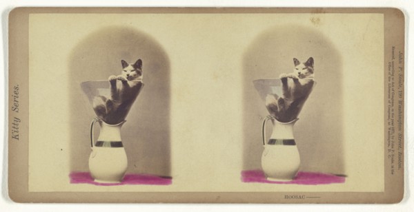 Kitty Series. Hoosac; John P. Soule, American, 1827 - 1904, 1871; Hand-colored Albumen silver print