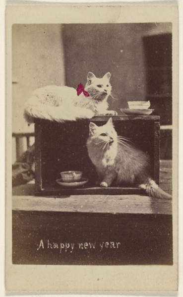 A happy new year; Henry Pointer, British, 1822 - 1889, about 1865; Hand-colored albumen silver print