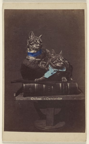 Oxford & Cambridge; Henry Pointer, British, 1822 - 1889, about 1865; Hand-colored albumen silver print