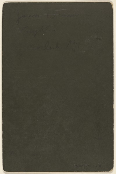 James & Fannie Laughlin, Cerlish, Ky; Michael Miley, American, 1841 - 1918, active Lexington, Virginia, 1870s; Albumen silver