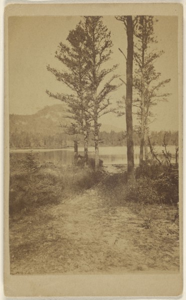 Echo Lake near Conway Wales; British; 1865 - 1870; Albumen silver print