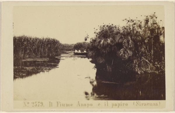 Il Fiume Anapo e il papiro, Siracusa, Sommer & Behles, Italian, 1867 - 1874, February 20, 1867; Albumen silver print