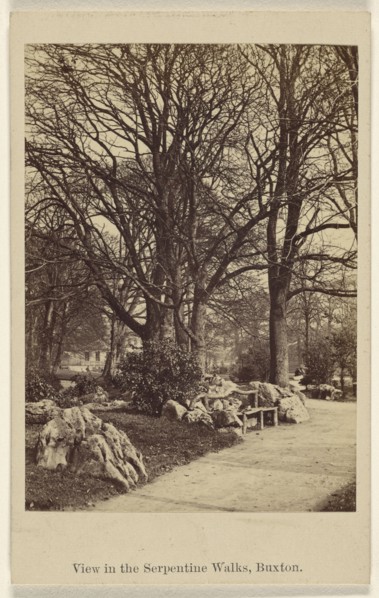 View in the Serpentine Walks, Buxton; Thomas Ogle, British, active Penrith, England 1850s - 1860s, 1864 - 1865; Albumen silver