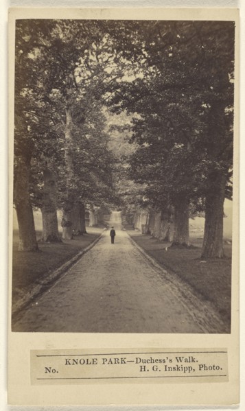 Knole Park - Duchess's Walk; H.G. Inskipp, British, active London, England 1870s, 1864 - 1867; Albumen silver print