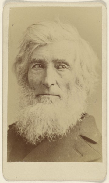Asher Brown Durand, 1796 - 1886, Sarony & Co; 1880 - 1885; Albumen silver print