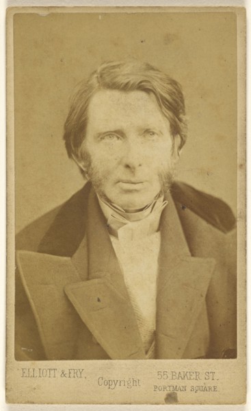 John Ruskin, 1819 - 1900, Elliott & Fry; 1865 - 1875; Albumen silver print