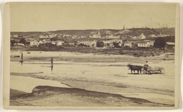 Santa Cruz, from the San Lorenzo, Santa Cruz Co; Lawrence & Houseworth; 1864-1867; Albumen silver print