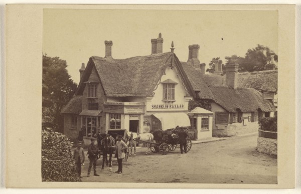 View of Shanklin Bazaar, Isle of Wight; Brown & Wheeler; 1865 - 1866; Albumen silver print