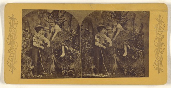Vacation Days; about 1875; Albumen silver print