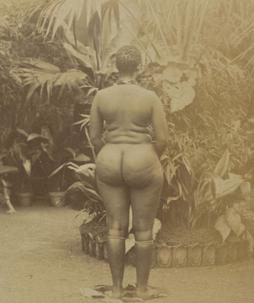 African Woman; Prince Roland Napoleon Bonaparte, French, 1858 - 1924, Africa; about 1888; Albumen silver print