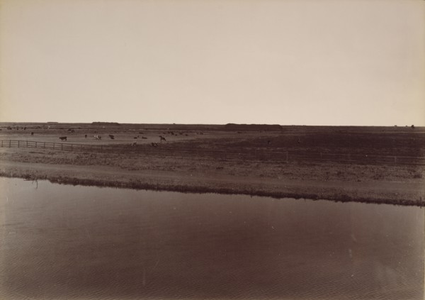 View on the Calloway Canal, near Poso Creek, Kern County; Carleton Watkins, American, 1829 - 1916, 1887; Albumen silver print