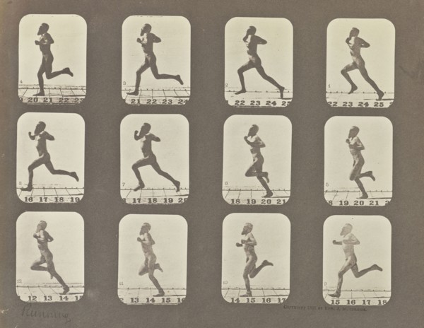Male Runner; Eadweard J. Muybridge, American, born England, 1830 - 1904, negative1878 - 1879; print 1881 ?; Iron salt process