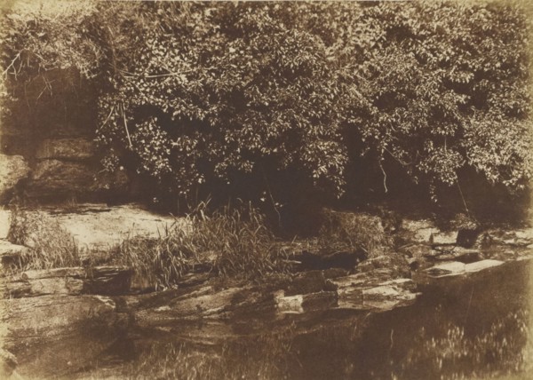 Burnside, Fife; Hill & Adamson, Scottish, active 1843 - 1848, Northumberland, England; 1843 - 1848; Salted paper print