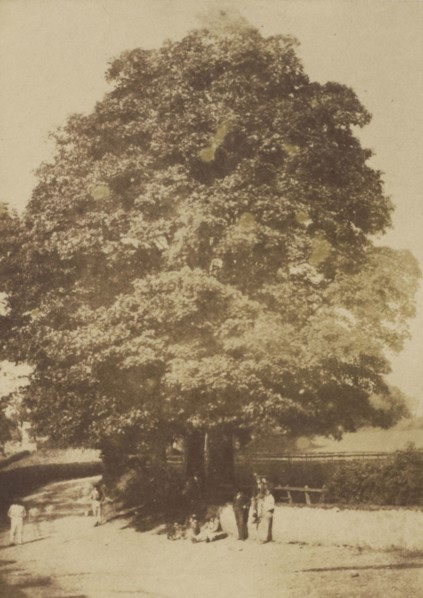 Roslin; Hill & Adamson, Scottish, active 1843 - 1848, Scotland; 1843 - 1848; Salted paper print from a Calotype negative; 15.9
