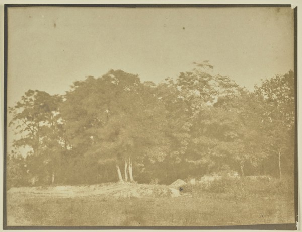 Landscape with Trees and Field; Attributed to M.H. Nevil Story-Maskelyne, British, 1823 - 1911, England; about 1845–1855