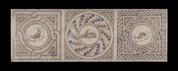 Post-Conservation photography