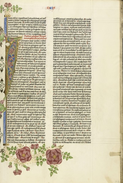 Decorated Initial I; Circle of Stefan Lochner, German, died 1451, Cologne, Germany; about 1450; Gold leaf, tempera, and black