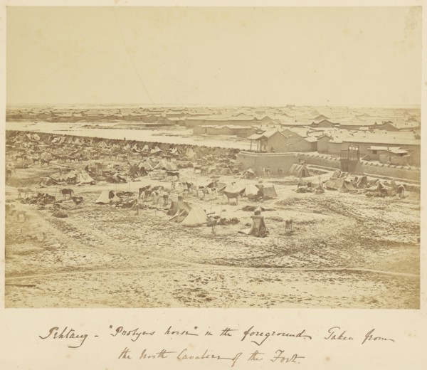 Pehtang,  Probyn's Horse,  in the Foreground; Felice Beato, 1832 - 1909, China; 1860; Albumen silver print