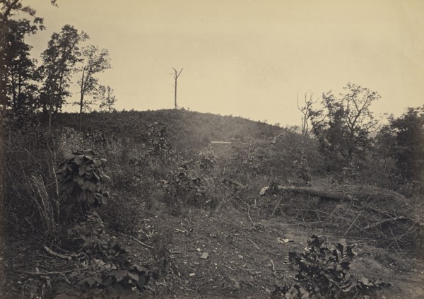 Pine Mountain; George N. Barnard, American, 1819 - 1902, New York, United States; negative about 1865; print 1866; Albumen
