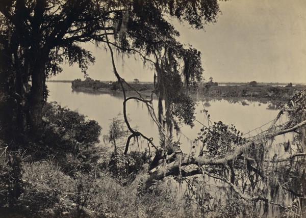 Savannah River, Near Savannah Georgia; George N. Barnard, American, 1819 - 1902, New York, United States; negative about 1865
