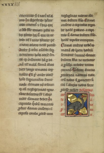 A Heron; Thérouanne ?, France, formerly Flanders, fourth quarter of 13th century, after 1277, Tempera colors, pen and ink
