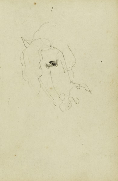 Horse Head; Théodore Géricault, French, 1791 - 1824, 1812 - 1814; Graphite; 15.2 x 10.6 cm, 6 x 4 3,16 in