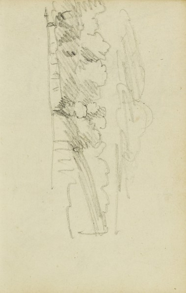Landscape with a Row of Trees; Théodore Géricault, French, 1791 - 1824, 1812 - 1814; Graphite; 15.2 x 10.6 cm
