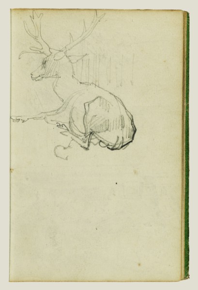 Seated Stag; Théodore Géricault, French, 1791 - 1824, 1812 - 1814; Graphite; 15.2 x 10.6 cm, 6 x 4 3,16 in